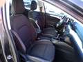 Ford Focus Turnier Cool & Connect Gris - thumbnail 12