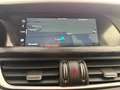 Alfa Romeo Stelvio Stelvio 2020 2.2 t Business rwd 160cv auto Gris - thumbnail 13