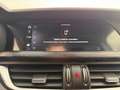 Alfa Romeo Stelvio Stelvio 2020 2.2 t Business rwd 160cv auto Gris - thumbnail 12