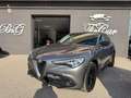 Alfa Romeo Stelvio Stelvio 2020 2.2 t Business rwd 160cv auto Gris - thumbnail 7