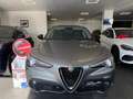 Alfa Romeo Stelvio Stelvio 2020 2.2 t Business rwd 160cv auto Gris - thumbnail 2
