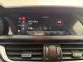 Alfa Romeo Stelvio Stelvio 2020 2.2 t Business rwd 160cv auto Gris - thumbnail 11