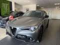 Alfa Romeo Stelvio Stelvio 2020 2.2 t Business rwd 160cv auto Gris - thumbnail 1