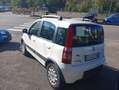 Fiat Panda 1.2 DYNAMIK NATURAL POWER 4X4 Blanc - thumbnail 4