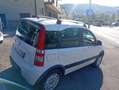 Fiat Panda 1.2 DYNAMIK NATURAL POWER 4X4 Blanc - thumbnail 3