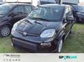 Fiat Panda Pandina Cross Noir - thumbnail 1