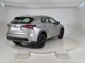 Lexus NX 300h I 2018 300h 2.5 Luxury 4wd cvt Grigio - thumbnail 4