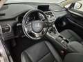 Lexus NX 300h I 2018 300h 2.5 Luxury 4wd cvt Grigio - thumbnail 6
