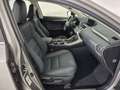 Lexus NX 300h I 2018 300h 2.5 Luxury 4wd cvt Grigio - thumbnail 9