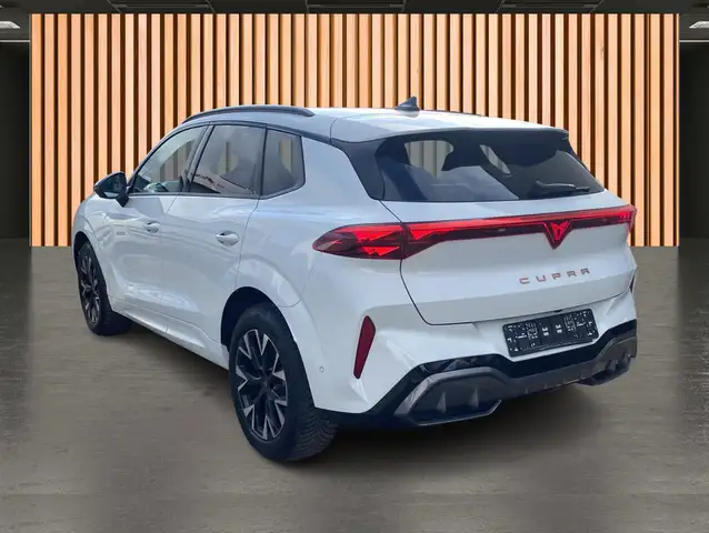 Cupra Terramar view 4