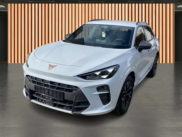 Cupra Terramar view 2