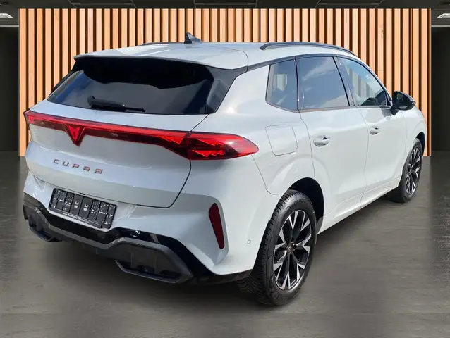 Cupra Terramar view 17