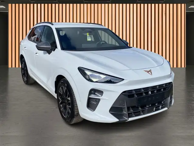 Cupra Terramar view 16