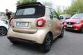 smart forTwo Cabrio electric drive / EQ Pluspaket 22KW Lader Goud - thumbnail 6