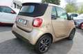 smart forTwo Cabrio electric drive / EQ Pluspaket 22KW Lader Zlatna - thumbnail 8