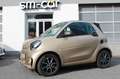 smart forTwo Cabrio electric drive / EQ Pluspaket 22KW Lader Gold - thumbnail 1