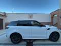 Land Rover Range Rover Sport D300 Dynamic SE - Land Rover Warranty - thumbnail 1