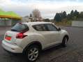 Nissan Juke Juke 1.5 dci Acenta Bianco - thumbnail 1