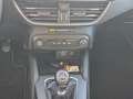 Ford Focus Focus 1.0 EcoBoost Hybrid 125 CV 5p. Active X - thumbnail 15