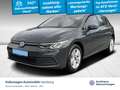 Volkswagen Golf VIII Life 2.0 TDI DSG Navi Sitzheizung PDC Gris - thumbnail 1