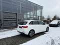 Mercedes-Benz B 250 e STYLE+NAVI+PDC+WIDE+Park-Assist+SHZ Blanc - thumbnail 5