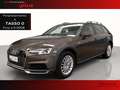 Audi A4 allroad allroad 2.0 tdi business 150cv Marrone - thumbnail 1