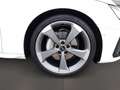 Audi A4 40 TDI Avant S-Line S-Line AHK 19'' 360° Weiß - thumbnail 7