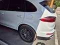 Porsche Cayenne Platinum Edition S E - Hybrid Weiß - thumbnail 42