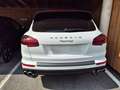 Porsche Cayenne Platinum Edition S E - Hybrid Weiß - thumbnail 44