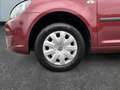 Volkswagen Caddy 1,6 TDI DSG Roncalli *ROLLSTUHLRAMPE* Rojo - thumbnail 15
