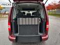 Volkswagen Caddy 1,6 TDI DSG Roncalli *ROLLSTUHLRAMPE* Rojo - thumbnail 17
