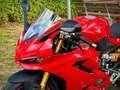 Ducati Panigale V2 S*junge Gebrauchte Rouge - thumbnail 12