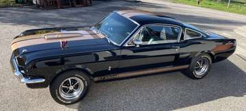 Fastback GT350H Hertz Edition, top Auto