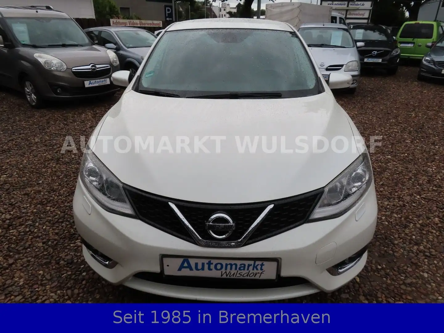 Nissan Pulsar Acenta,1,5D,Navi,Kamera,Alu,Sitzheizung Weiß - 2