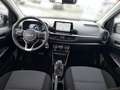 Kia Picanto 1.0 Vision Automatik Klima Sitzhzg Klima Schwarz - thumbnail 10