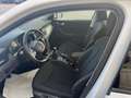Skoda Kamiq Kamiq 1.0 g-tec Ambition 90cv Bianco - thumbnail 6