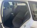 Skoda Kamiq Kamiq 1.0 g-tec Ambition 90cv Bianco - thumbnail 7
