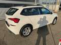Skoda Kamiq Kamiq 1.0 g-tec Ambition 90cv Bianco - thumbnail 5