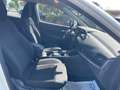 Nissan Qashqai 1.3 mhev Business 2wd 158cv xtronic Wit - thumbnail 23