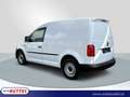 Volkswagen Caddy Kasten 2.0 TDI Netto 12.075,- Weiß - thumbnail 3