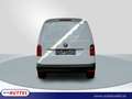 Volkswagen Caddy Kasten 2.0 TDI Netto 12.075,- Weiß - thumbnail 5
