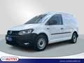 Volkswagen Caddy Kasten 2.0 TDI Netto 12.075,- Weiß - thumbnail 1