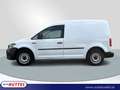 Volkswagen Caddy Kasten 2.0 TDI Netto 12.075,- Weiß - thumbnail 2
