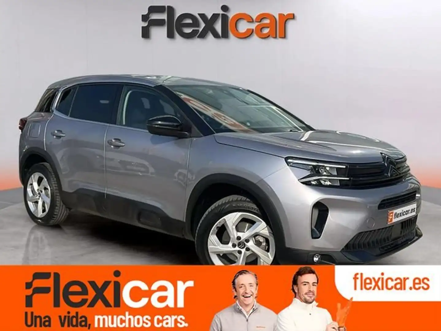 Citroen C5 Aircross BlueHDi S&S C-Series EAT8 130 Gris - 1
