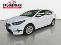 Kia Ceed / cee'd CEED 1.5 T-GDI ULTIMATE EDITION MJ25 Bianco - thumbnail 1