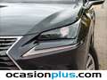 Lexus NX 300 300h Business 2WD Noir - thumbnail 15