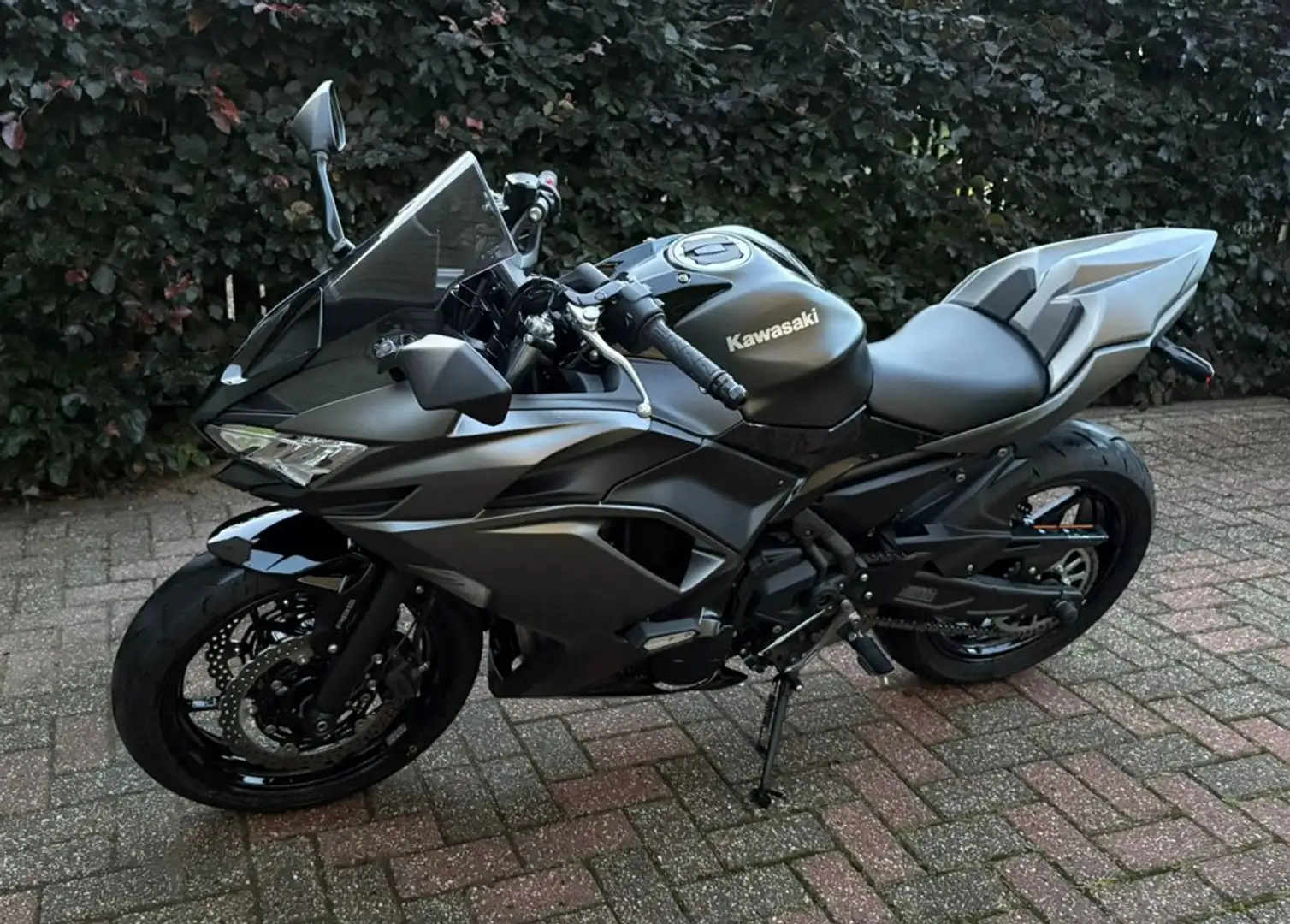 Kawasaki Ninja 650 Grijs - 1