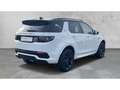 Land Rover Discovery Sport D165 R-DYNAMIC SE 7-Sitzer+SHZG Weiß - thumbnail 5