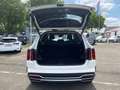 Kia Sorento 2.2 CRDi DCT8 AWD Spirit Drive Bianco - thumbnail 15