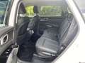 Kia Sorento 2.2 CRDi DCT8 AWD Spirit Drive Blanc - thumbnail 12